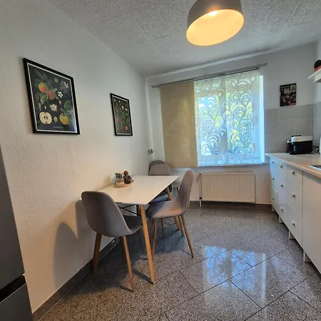 Zentrale Ruhige Mit Eigenem Garten Und Grillecke Nahe Klinikum شيمنيتز