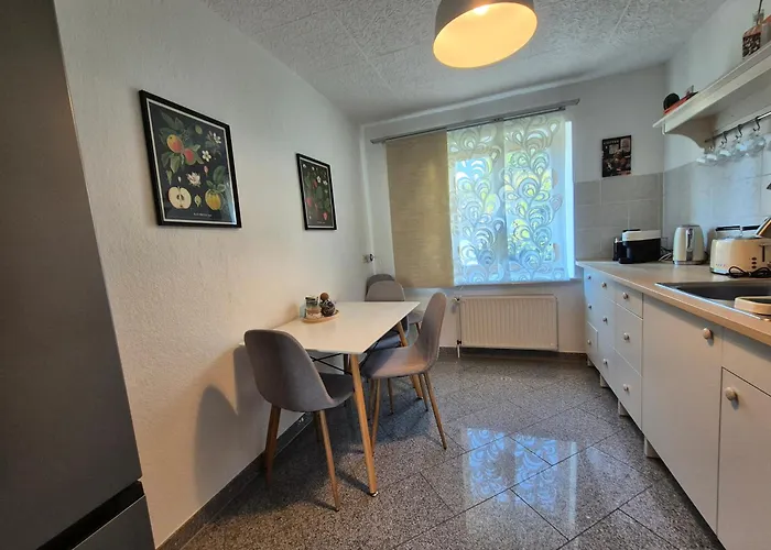 Zentrale Ruhige Mit Eigenem Garten Und Grillecke Nahe Klinikum Chemnitz